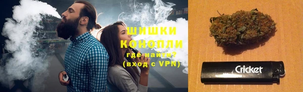PSILOCYBIN Аркадак