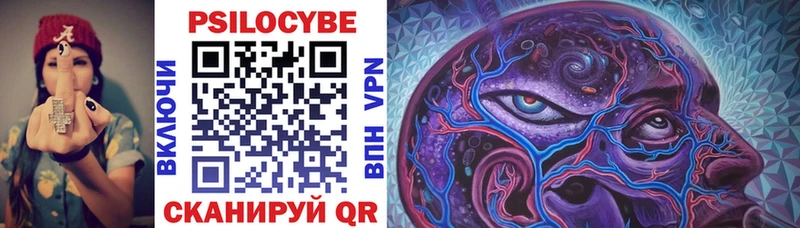 Псилоцибиновые грибы Psilocybe  Купить закладки  Сураж 